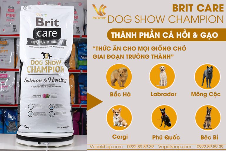 Brit Care Dog Show Champion