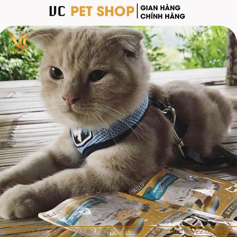 Pate Nekko Jelly cho mèo vị cá ngừ rắc cá cơm sữa dạng thạch 70g