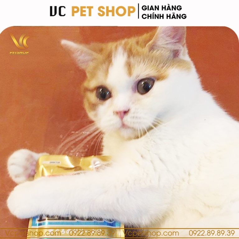 Pate Nekko Jelly cho mèo vị cá ngừ rắc trứng hấp & rong biển dạng thạch 70g