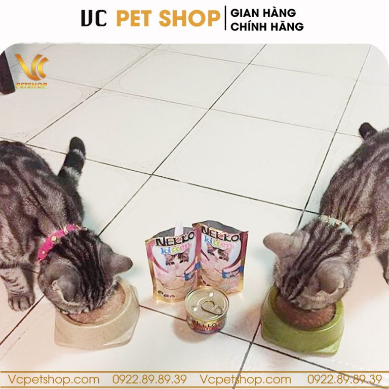 Pate Nekko Kitten cho mèo con vị cá ngừ 70g