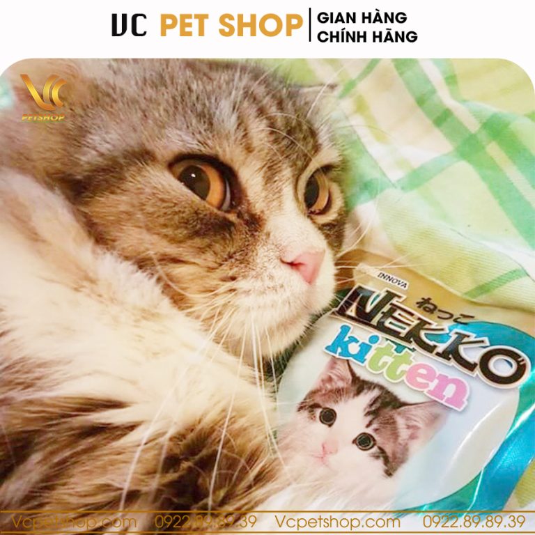 Pate Nekko Kitten cho mèo con vị thịt gà 70g