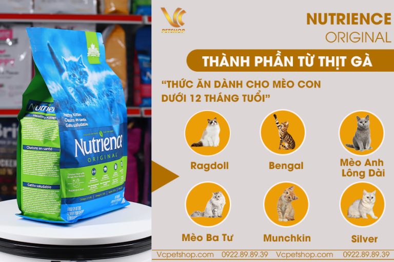 Thức ăn cho mèo con Nutrience Orginal