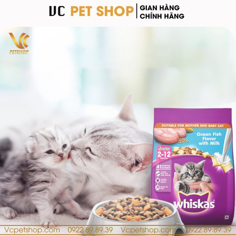 Thức ăn cho mèo con Whiskas Junior vị cá biển và sữa