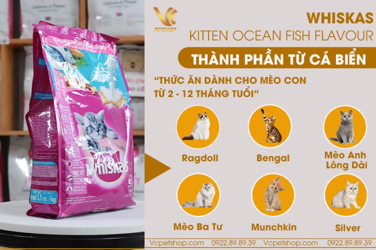 Thức ăn cho mèo con Whiskas Junior vị cá biển và sữa