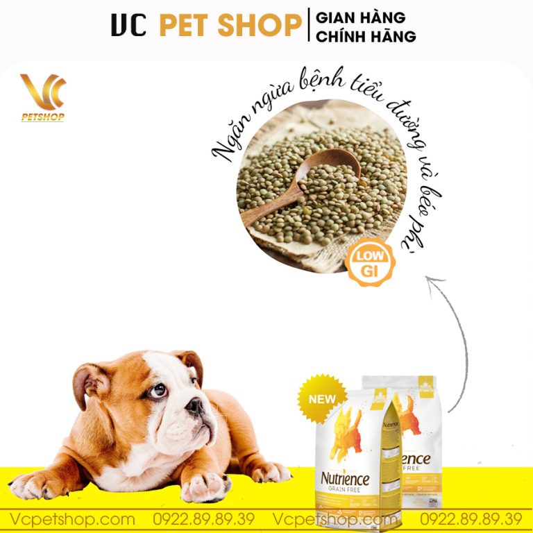 Thức ăn hạt cho chó Nutrience Grain Free