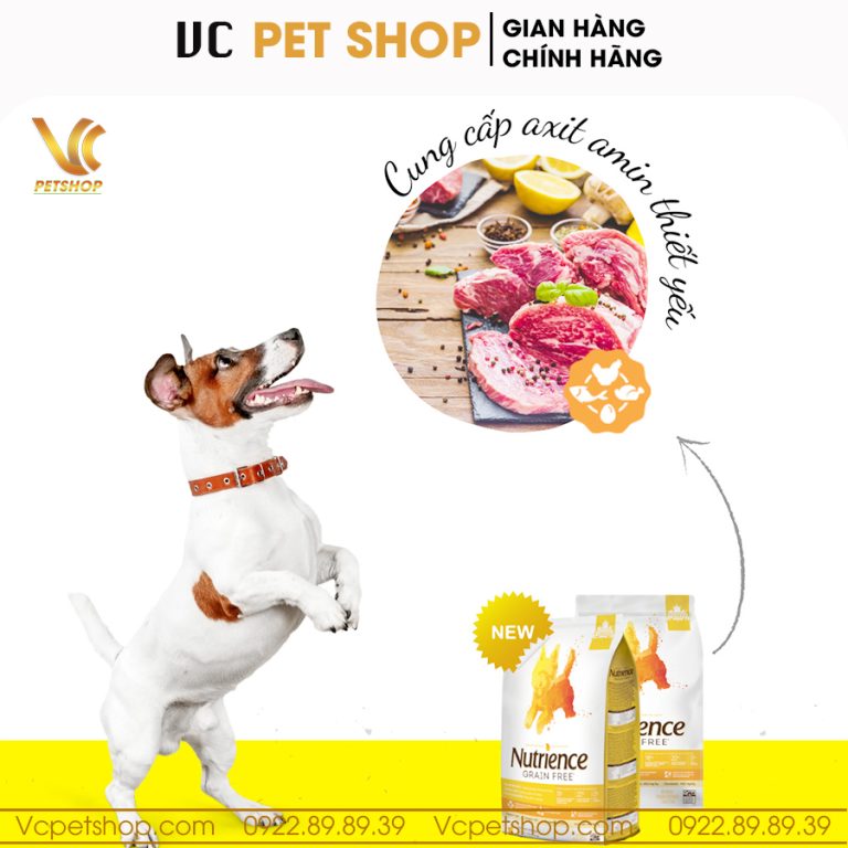 Thức ăn hạt cho chó Nutrience Grain Free