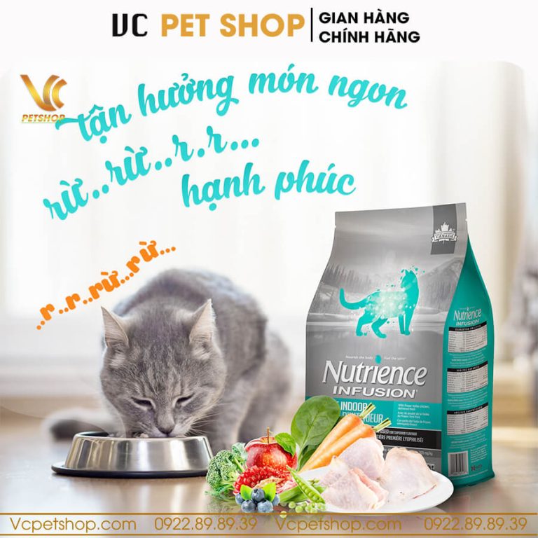 Thức ăn hạt Nutrience Infusion cho mèo trưởng thành