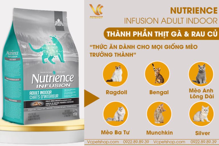 Thức ăn hạt Nutrience Infusion cho mèo con