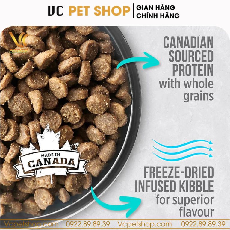 Thức ăn hạt Nutrience Infusion cho mèo con