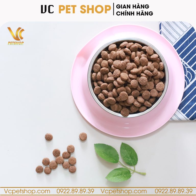 Bát ăn đơn chống kiến cho chó mèo VCBA02