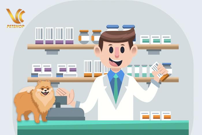 Top 6 các loại thuốc tẩy giun cho chó tốt và an toàn nhất hiện nay