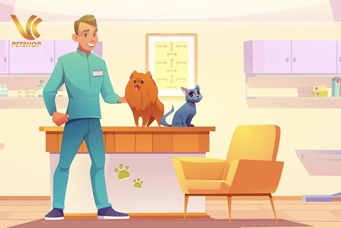 Cách tẩy giun cho chó tại nhà – Chuyên gia hướng dẫn, giải đáp A – Z