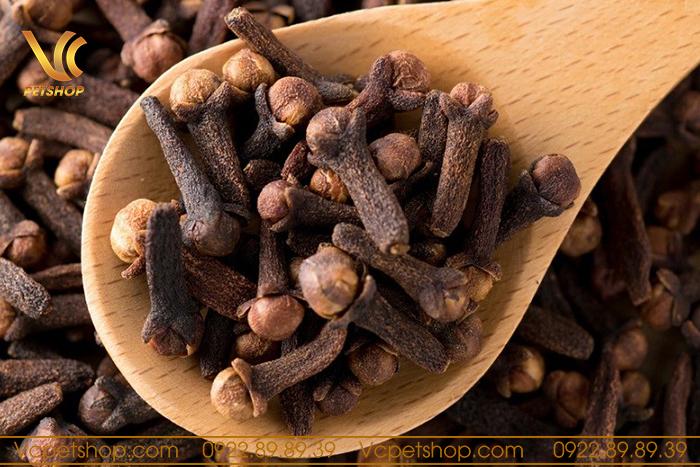 Cách tẩy giun cho chó bằng phương pháp dân gian