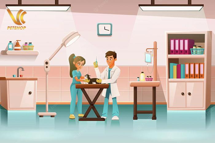 Lịch tiêm phòng cho chó – chuyên gia hướng dẫn chi tiết từ A đến Z