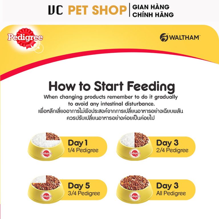 Hạt Pedigree Chó Trưởng Thành
