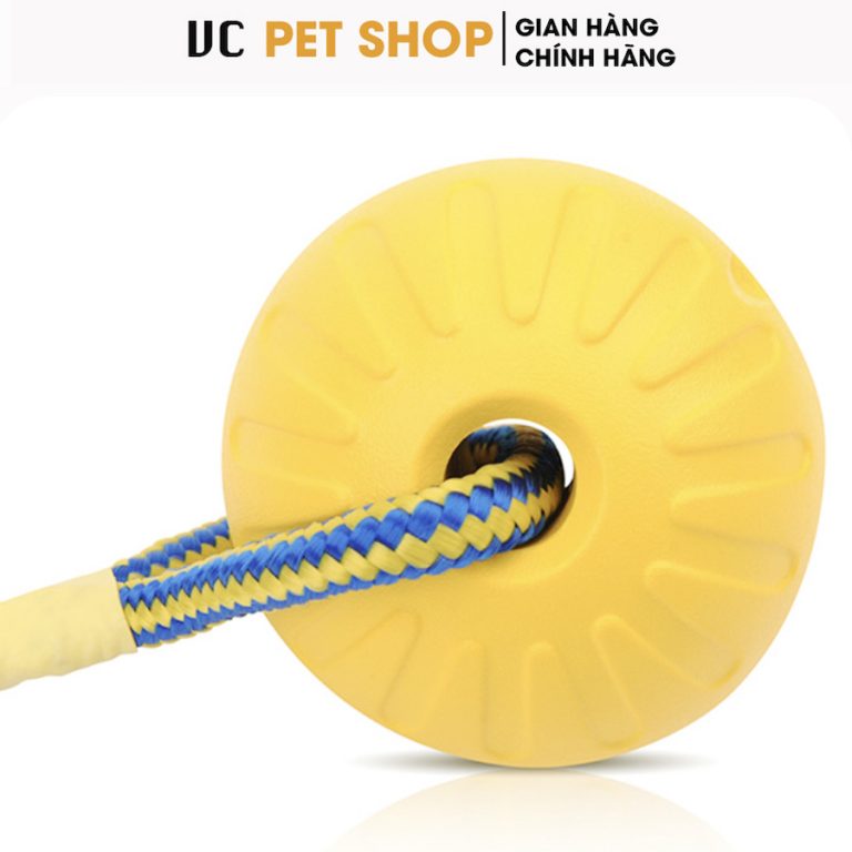 Bóng Huấn Luyện Chó