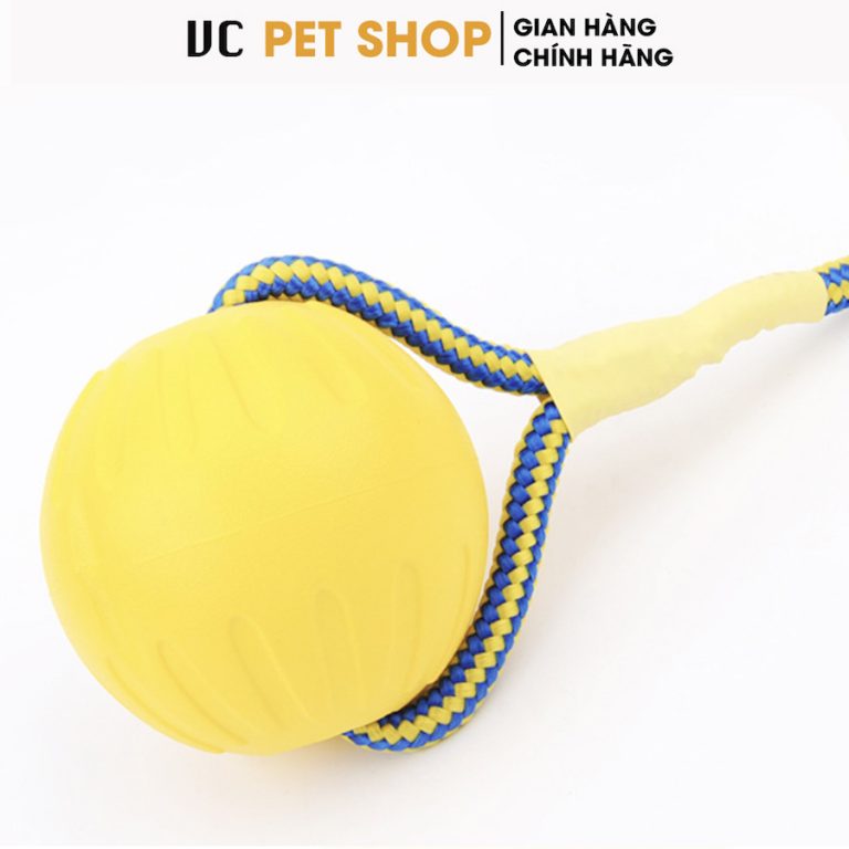 Bóng Huấn Luyện Chó