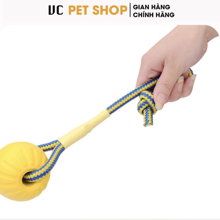 Bóng Huấn Luyện Chó