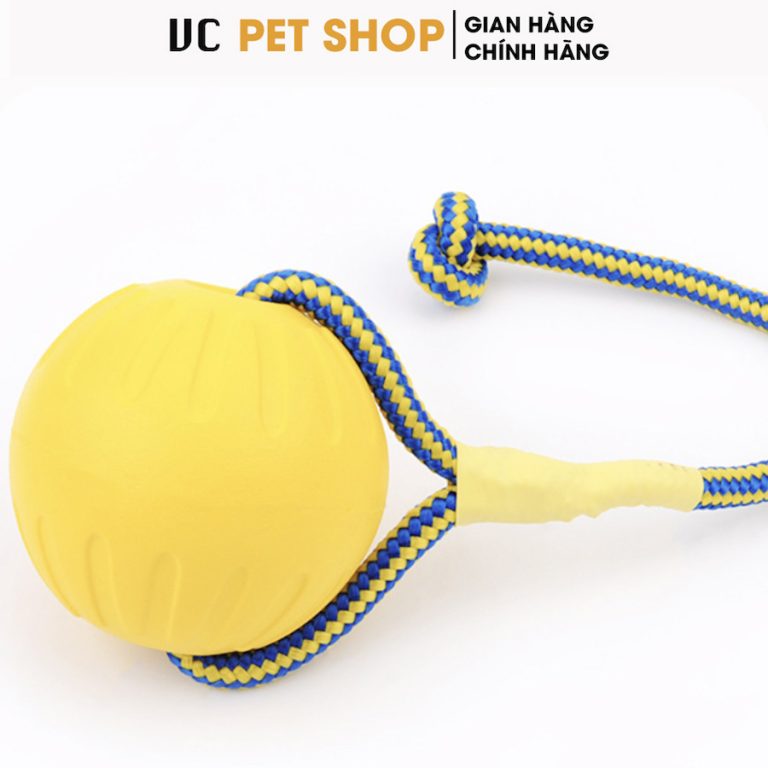 Bóng Huấn Luyện Chó