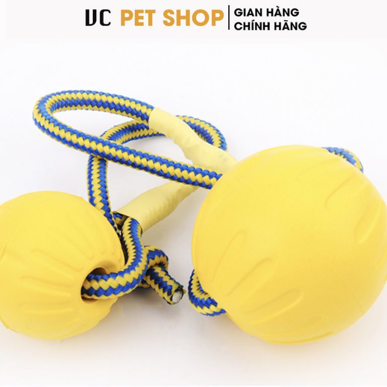 Bóng Huấn Luyện Chó
