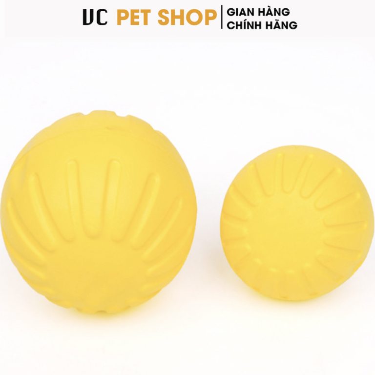 Bóng Huấn Luyện Chó