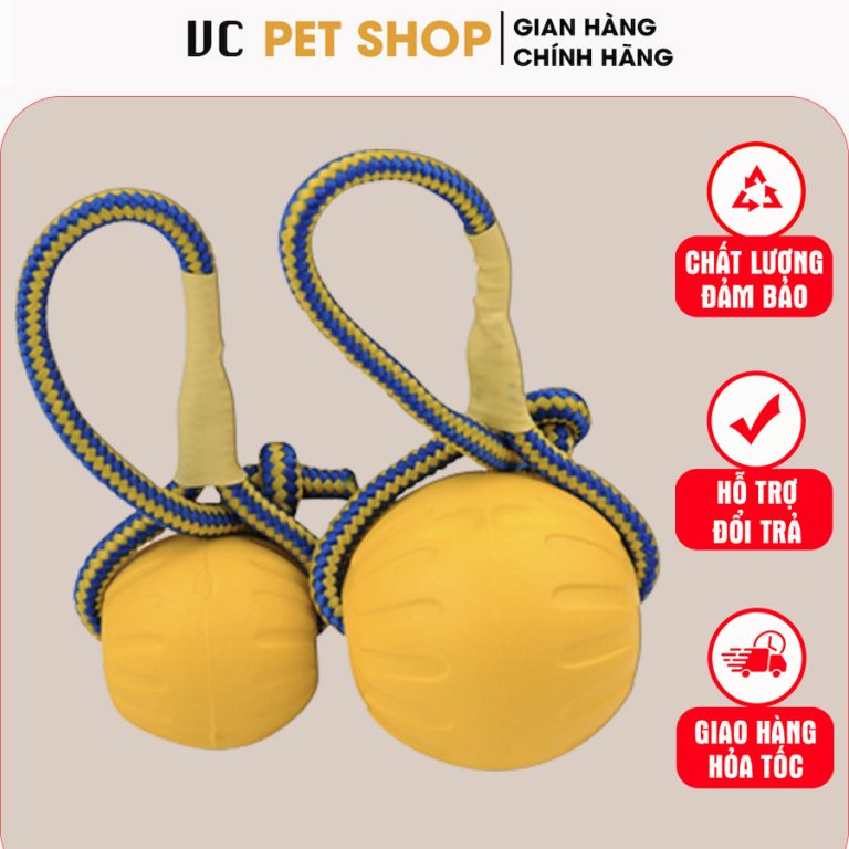 Bóng Huấn Luyện Chó