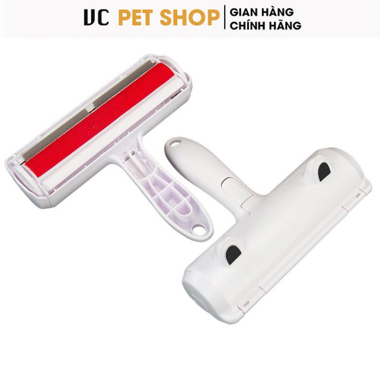 Cây Lăn Lông Mèo Tĩnh Điện