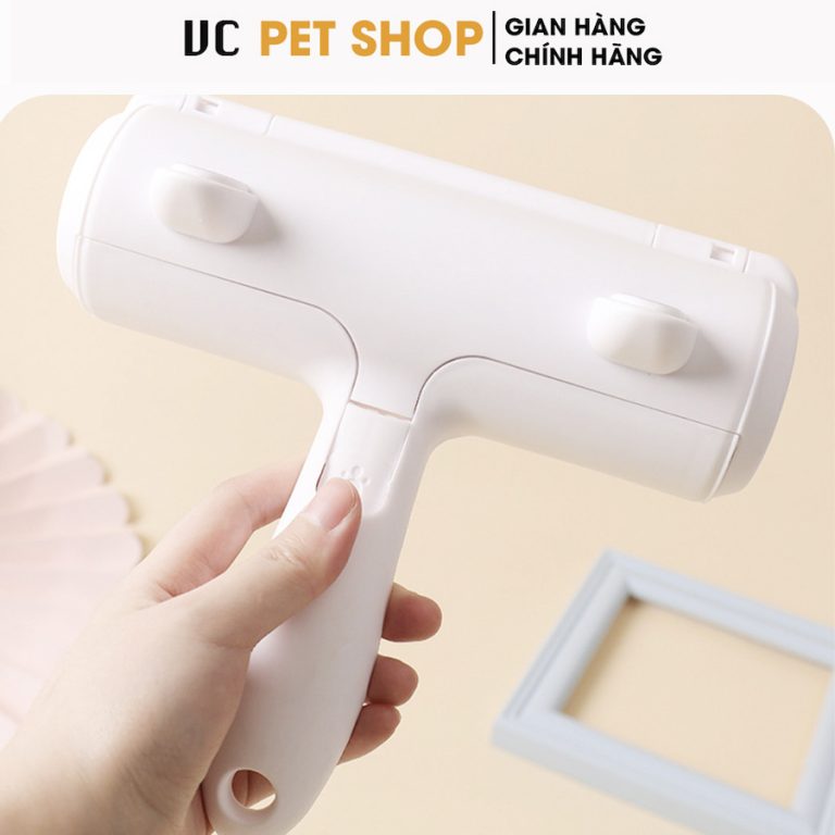 Cây Lăn Lông Mèo Tĩnh Điện