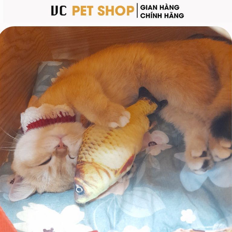 Đồ Chơi Cá Vải Nhồi Bông Cho Thú Cưng