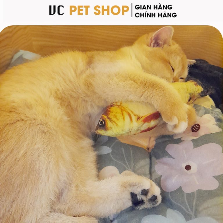 Đồ Chơi Cá Vải Nhồi Bông Cho Thú Cưng
