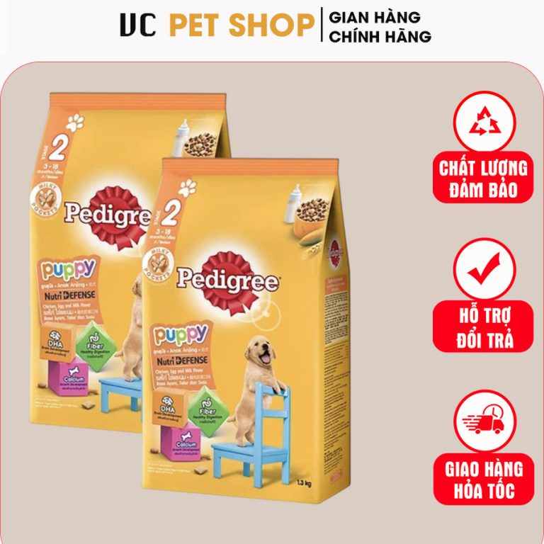Hạt pedigree Chó Con