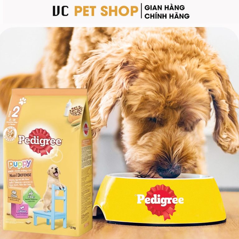 hạt pedigree chó con