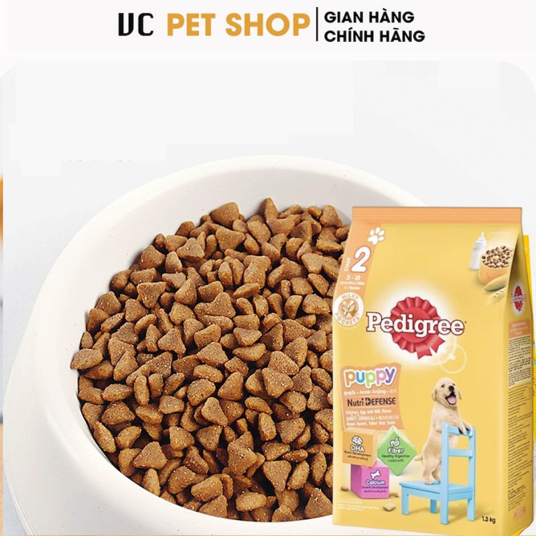 Hạt pedigree Chó Con