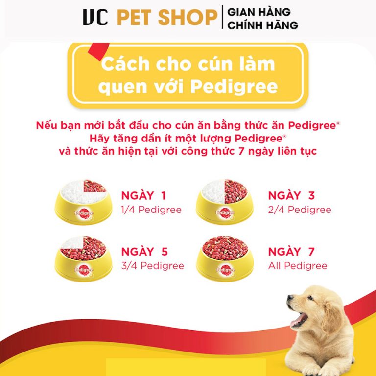 Hạt pedigree Chó Con