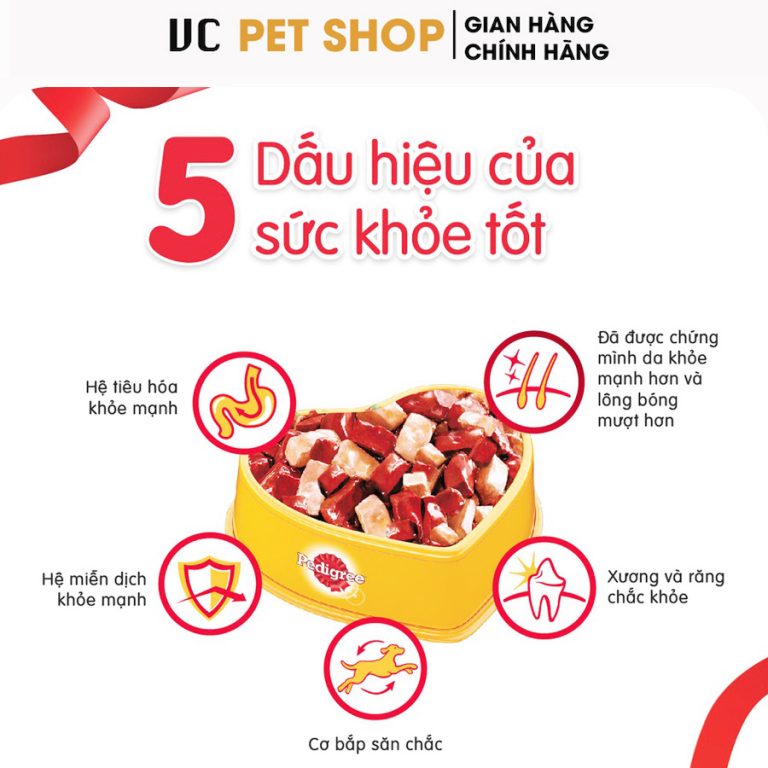Hạt pedigree Chó Con