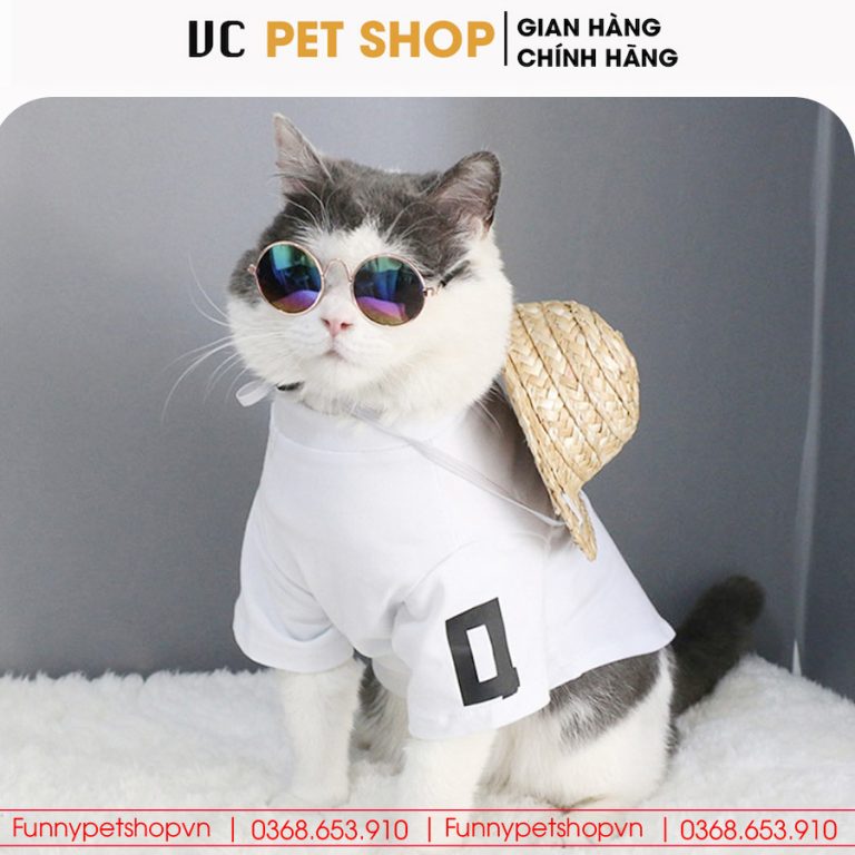 Kính Mắt Thời Trang Cho Chó Mèo