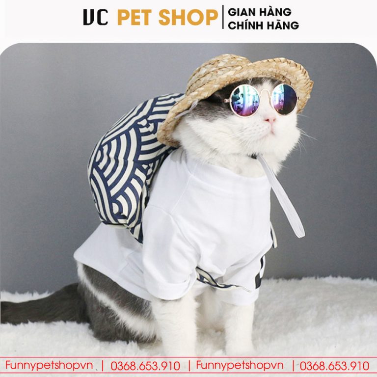 Kính Mắt Thời Trang Cho Chó Mèo