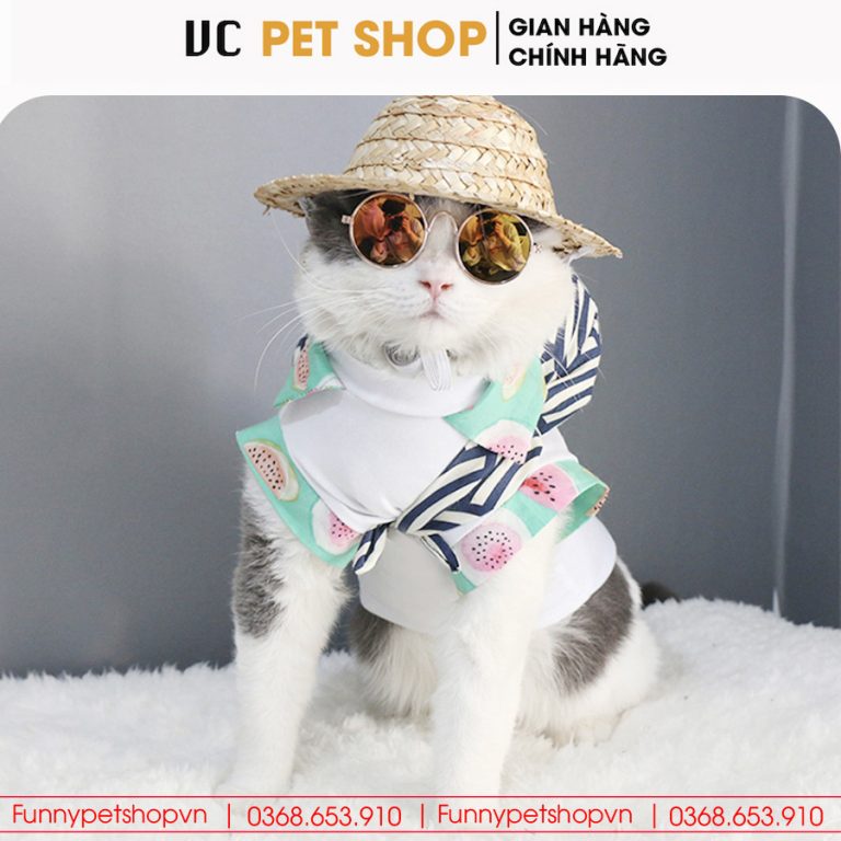 Kính Mắt Thời Trang Cho Chó Mèo