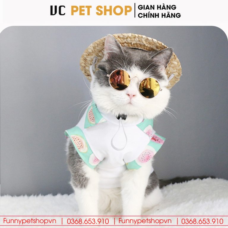 Kính Mắt Thời Trang Cho Chó Mèo