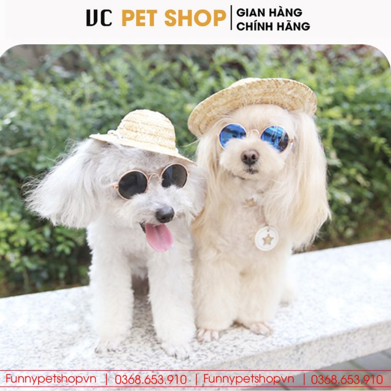 Kính Mắt Thời Trang Cho Chó Mèo