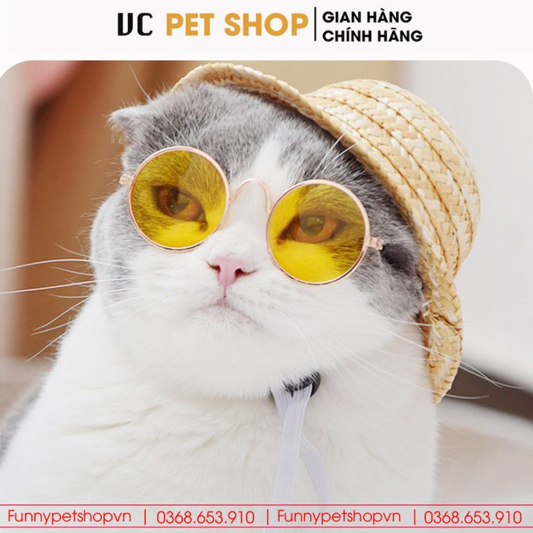 Kính Mắt Thời Trang Cho Chó Mèo