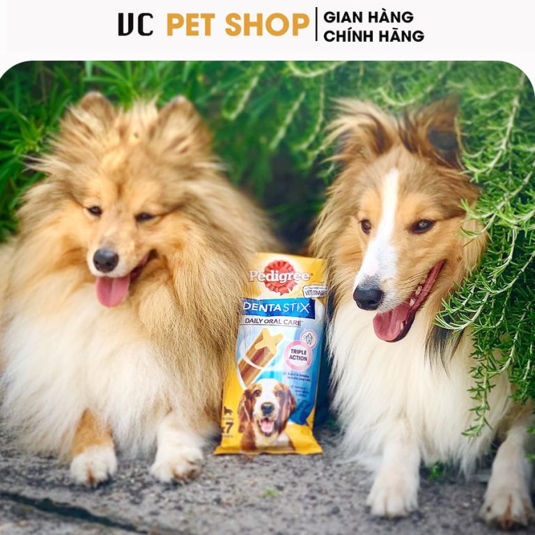 xương gặm sạch răng cho chó Pedigree