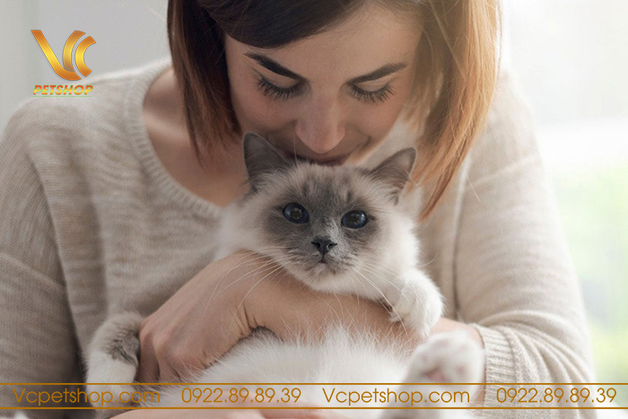 Hướng dẫn Cách giao tiếp với mèo