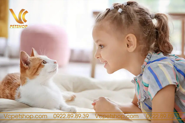 Cách Giao Tiếp Với Mèo – Hiểu Để Làm Bạn Với Thú Cưng Một Cách Thông Minh