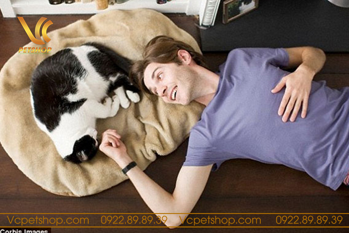 Lắng nghe và quan tâm đến cảm xúc của mèo