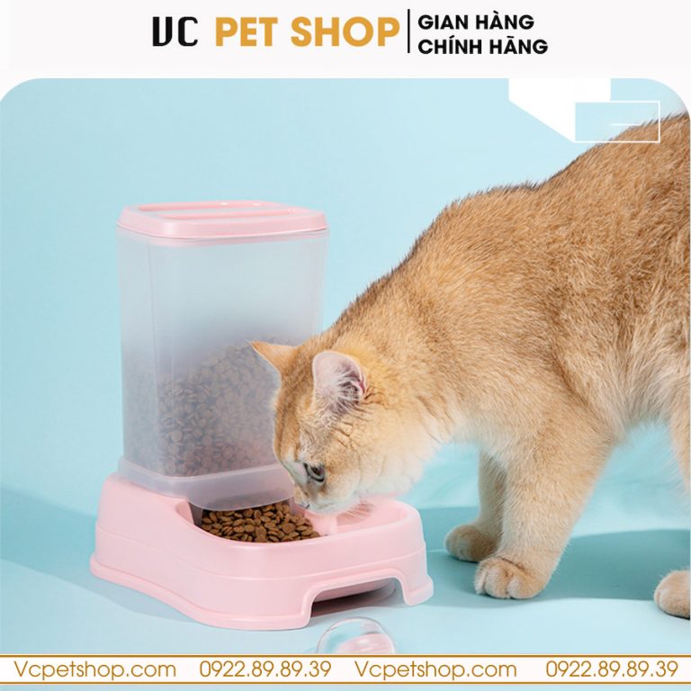 Hộp Đựng Thức Ăn Tự Động Cho Chó Mèo