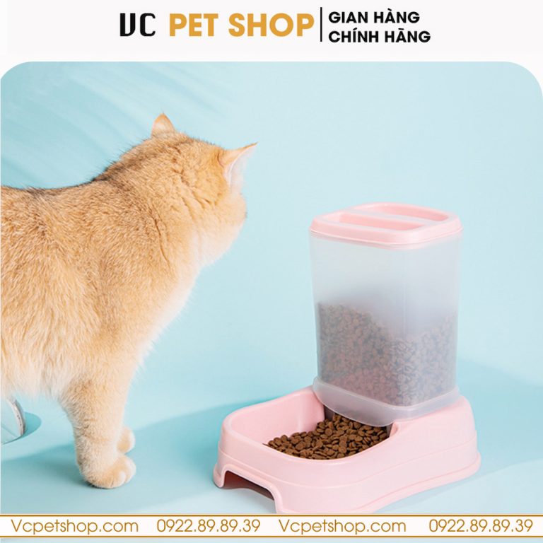 Hộp Đựng Thức Ăn Tự Động Cho Chó Mèo
