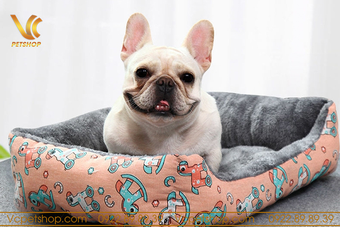 Nuôi chó cần chuẩn bị ổ nệm