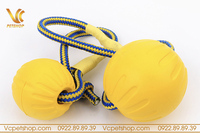 Đồ chơi, dụng cụ huấn luyện chó