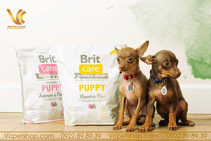 Thức ăn cho chó con